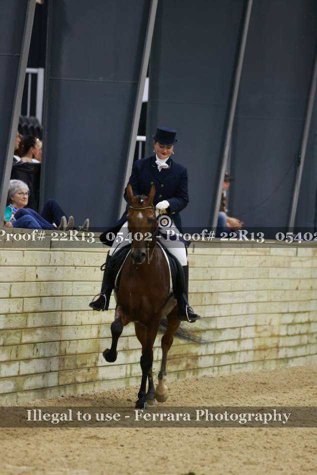 Proof 22R13_05402