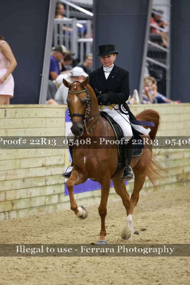 Proof 22R13_05408