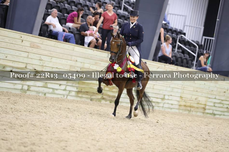 Proof 22R13_05409