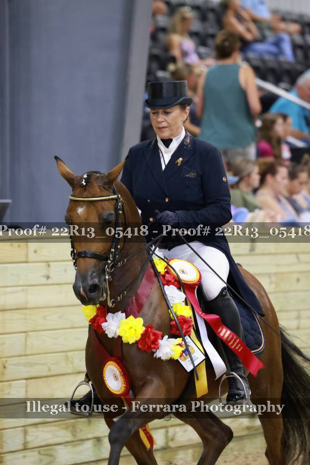 Proof 22R13_05418