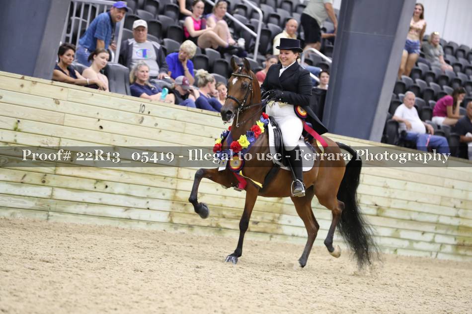 Proof 22R13_05419