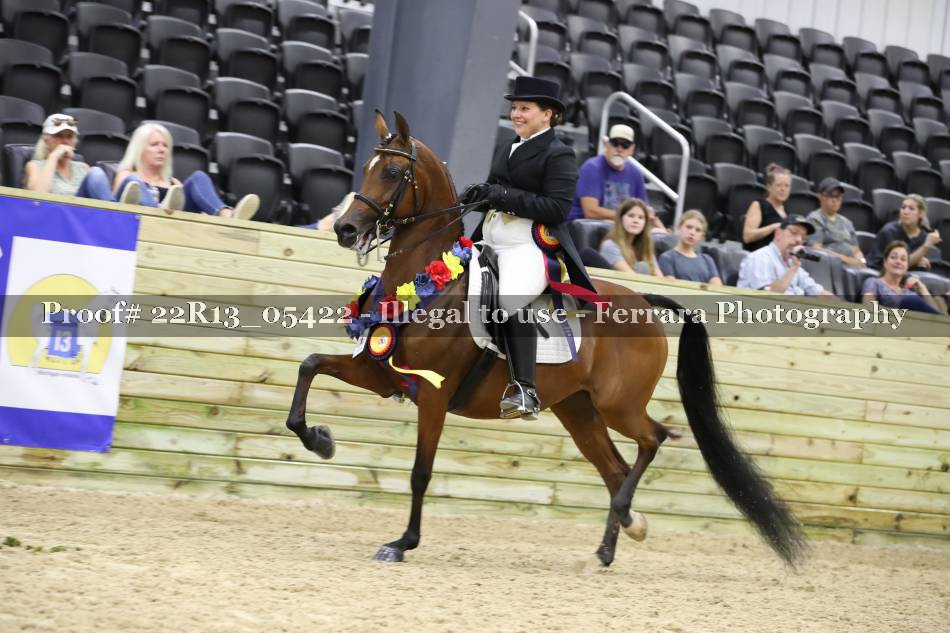 Proof 22R13_05422