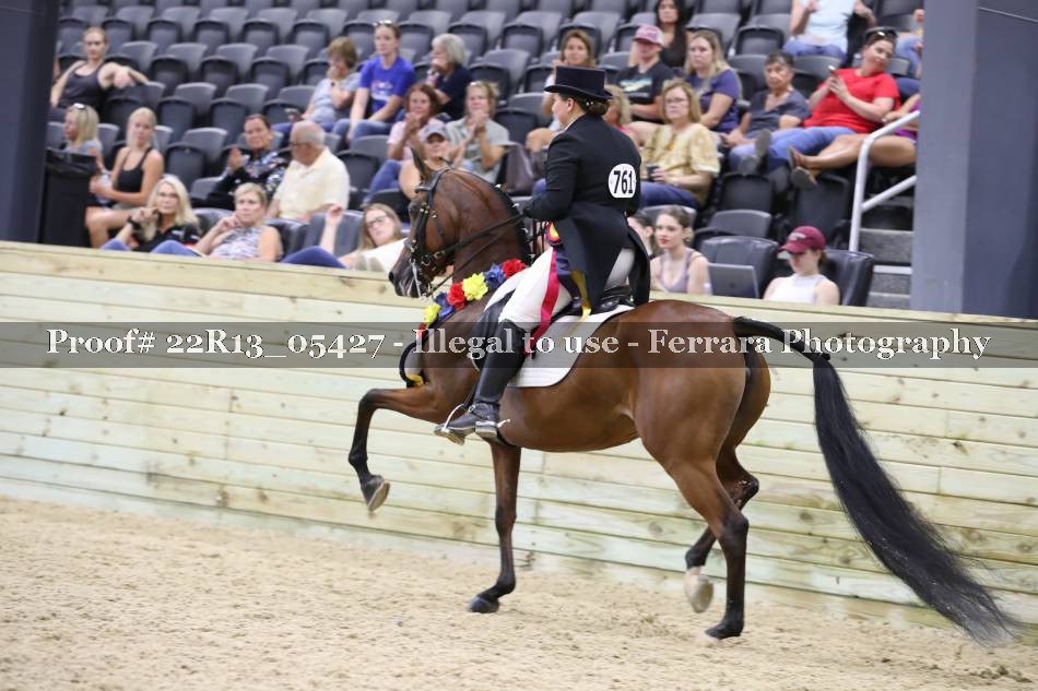 Proof 22R13_05427