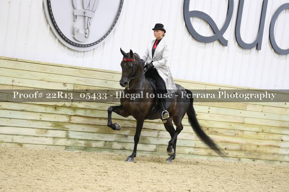 Proof 22R13_05433