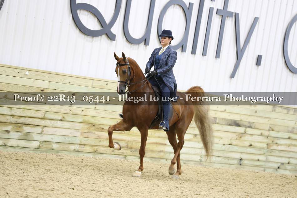 Proof 22R13_05441