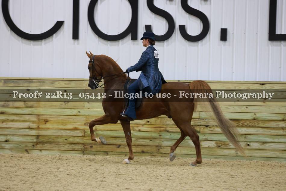 Proof 22R13_05442