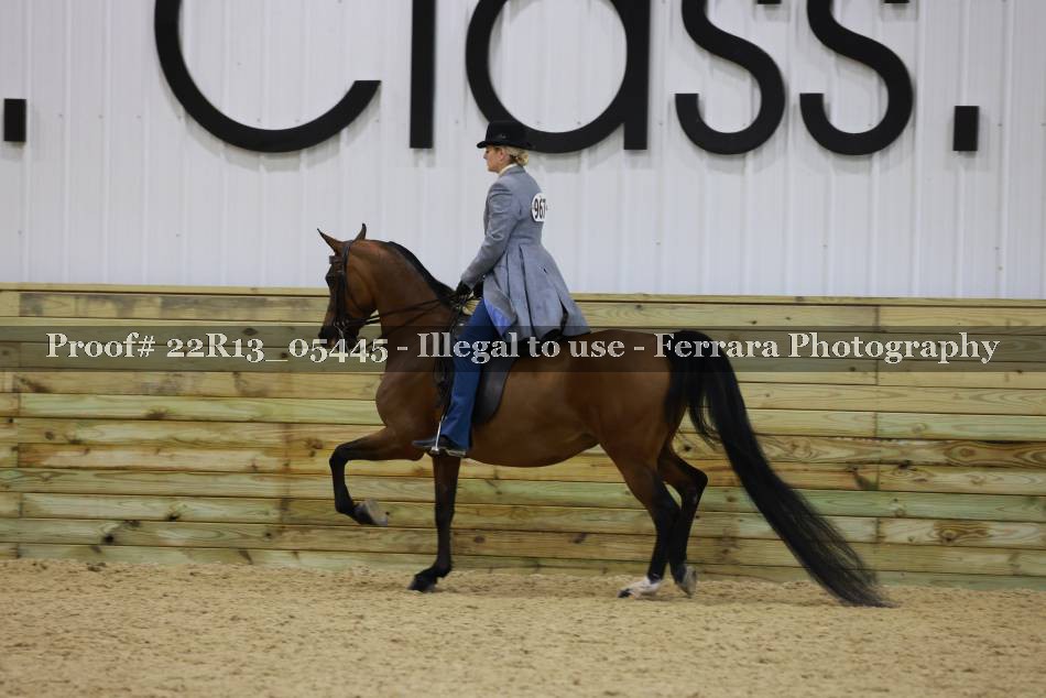 Proof 22R13_05445