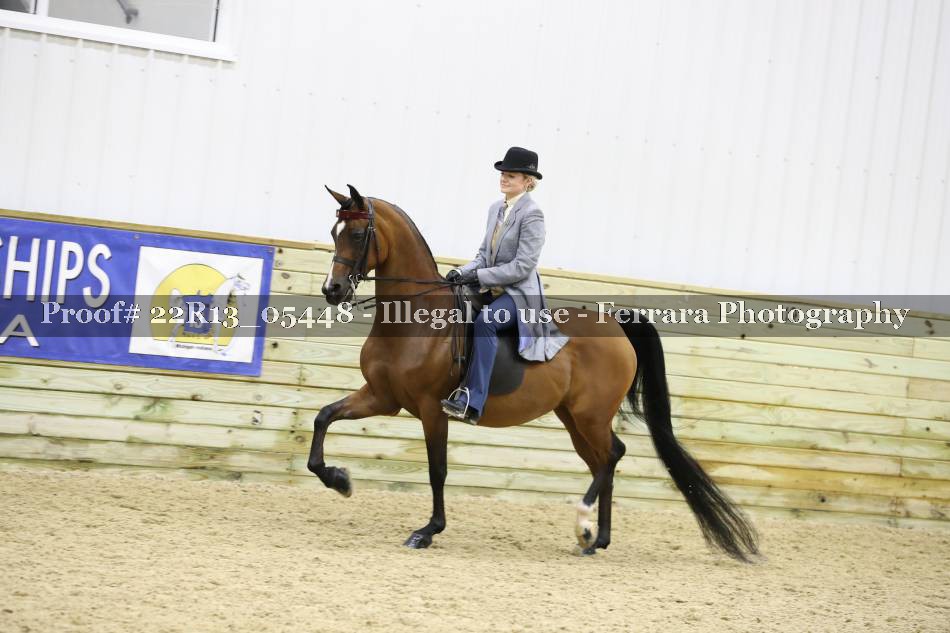 Proof 22R13_05448