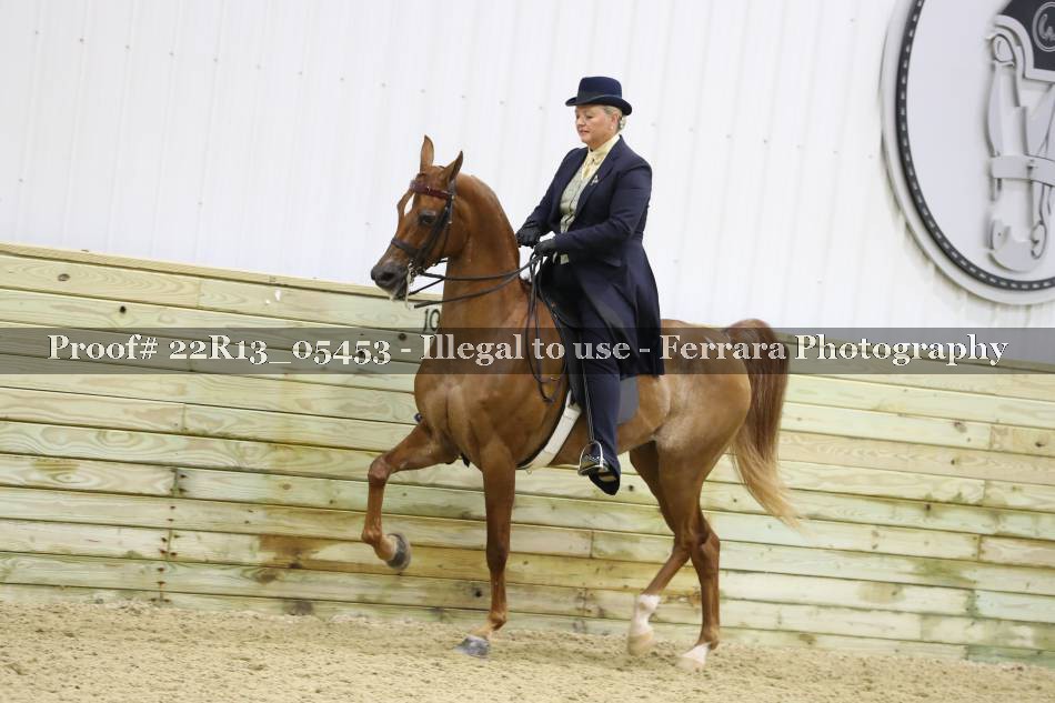 Proof 22R13_05453