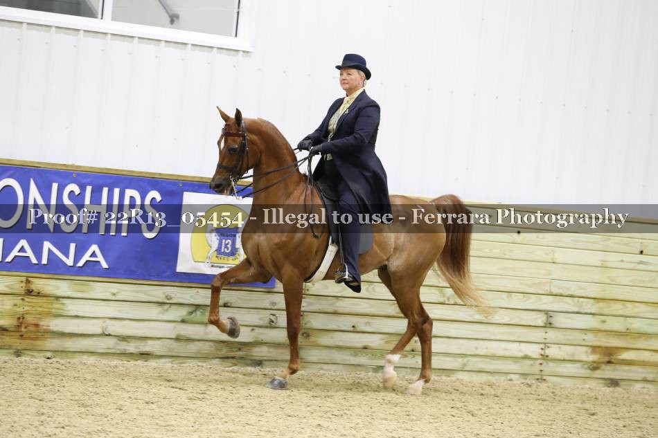 Proof 22R13_05454