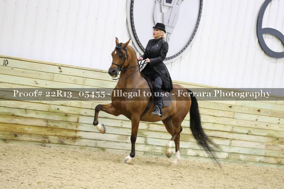 Proof 22R13_05455