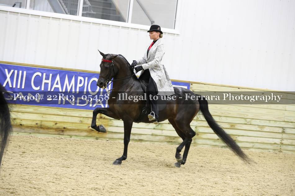 Proof 22R13_05458