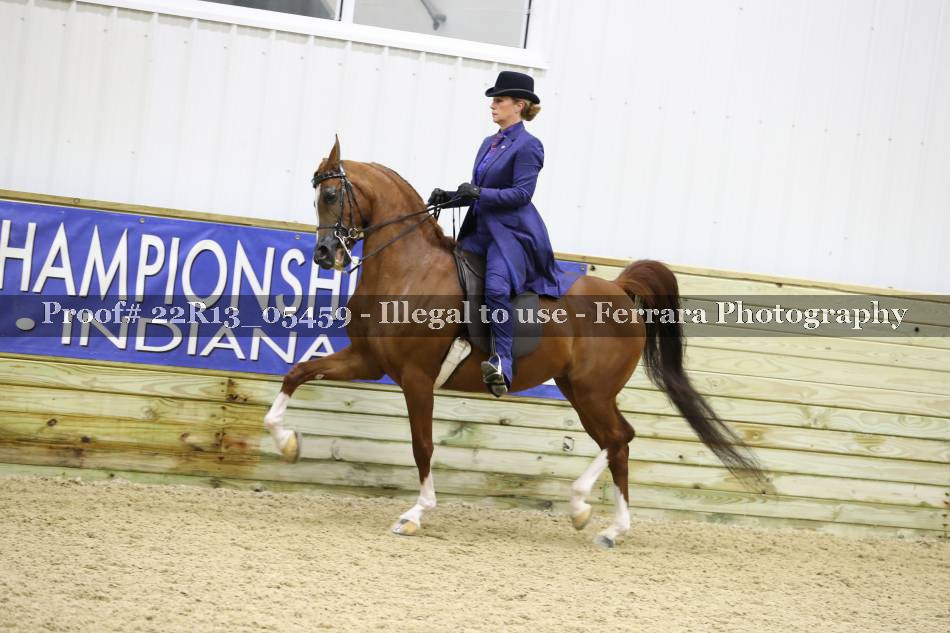 Proof 22R13_05459