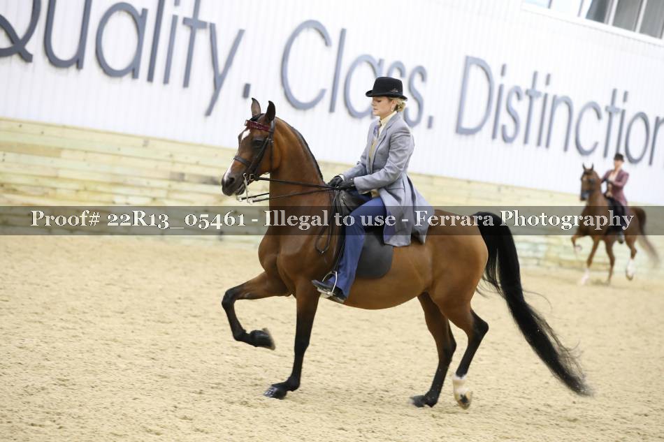 Proof 22R13_05461