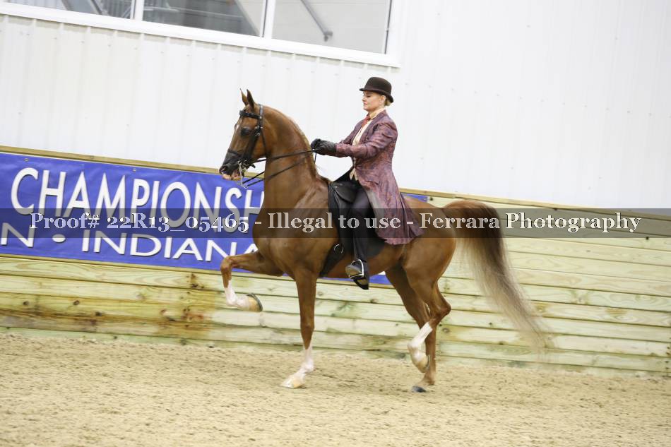 Proof 22R13_05465