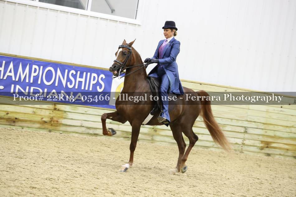 Proof 22R13_05466