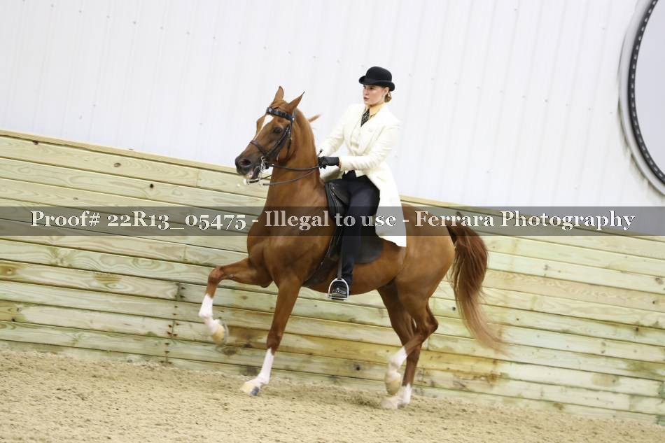Proof 22R13_05475