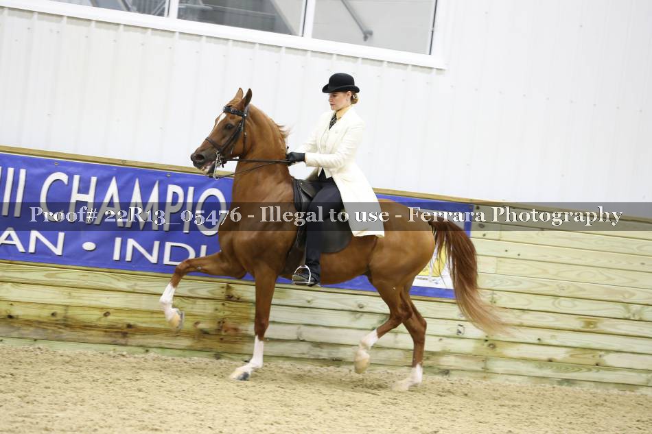 Proof 22R13_05476