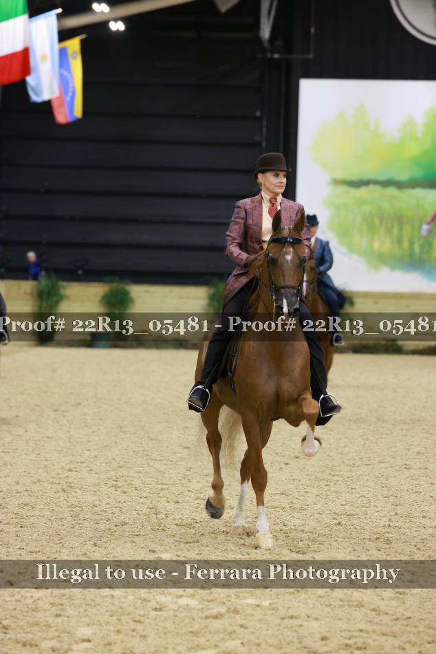 Proof 22R13_05481
