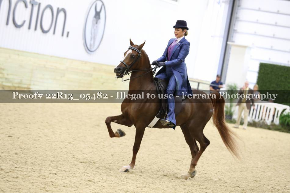 Proof 22R13_05482