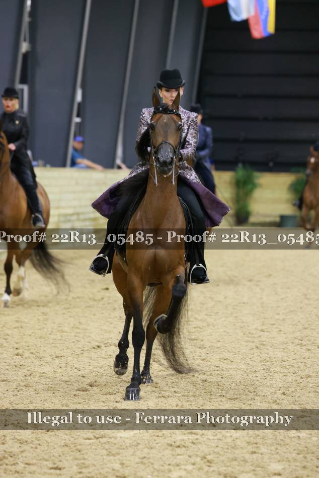 Proof 22R13_05485