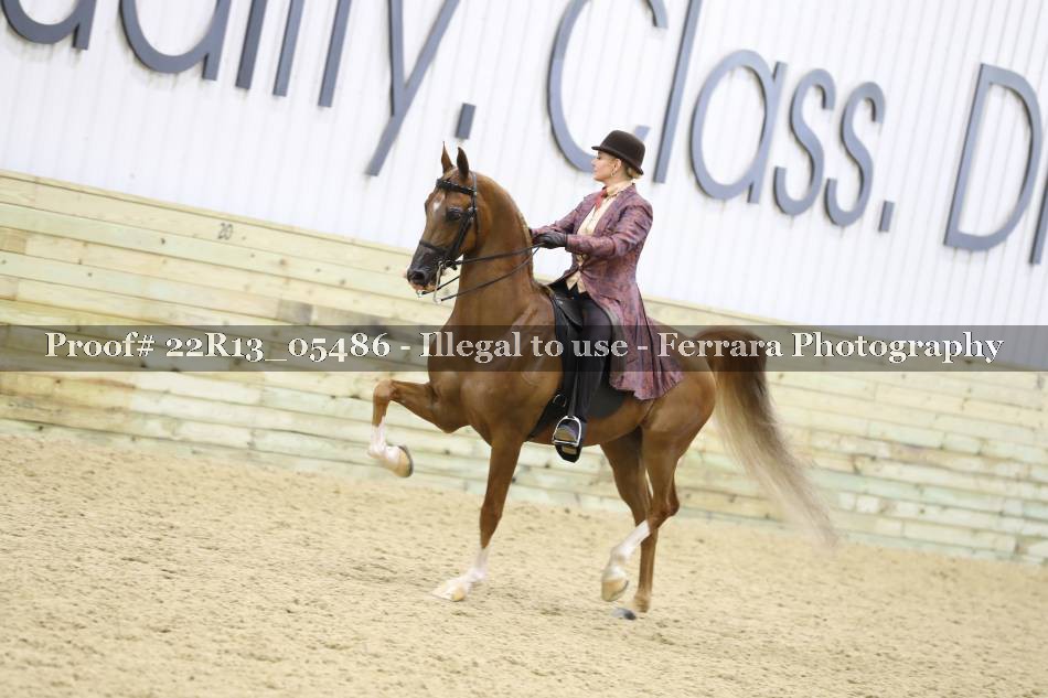 Proof 22R13_05486