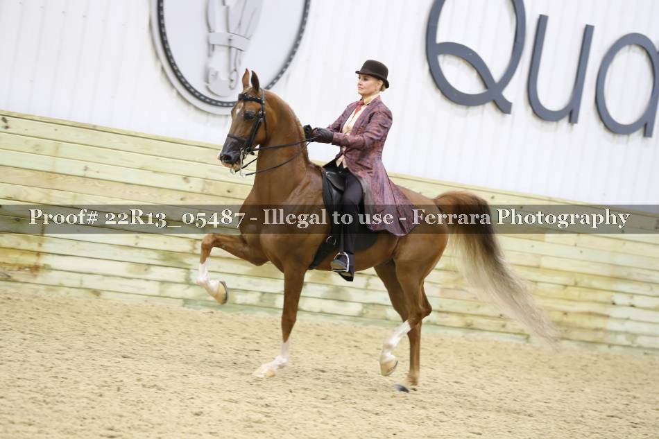Proof 22R13_05487