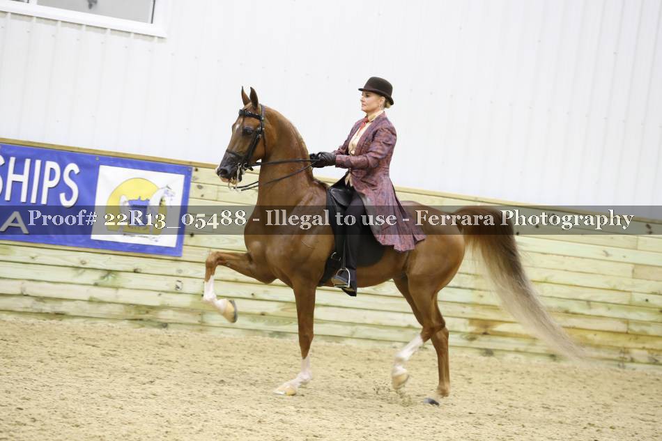 Proof 22R13_05488