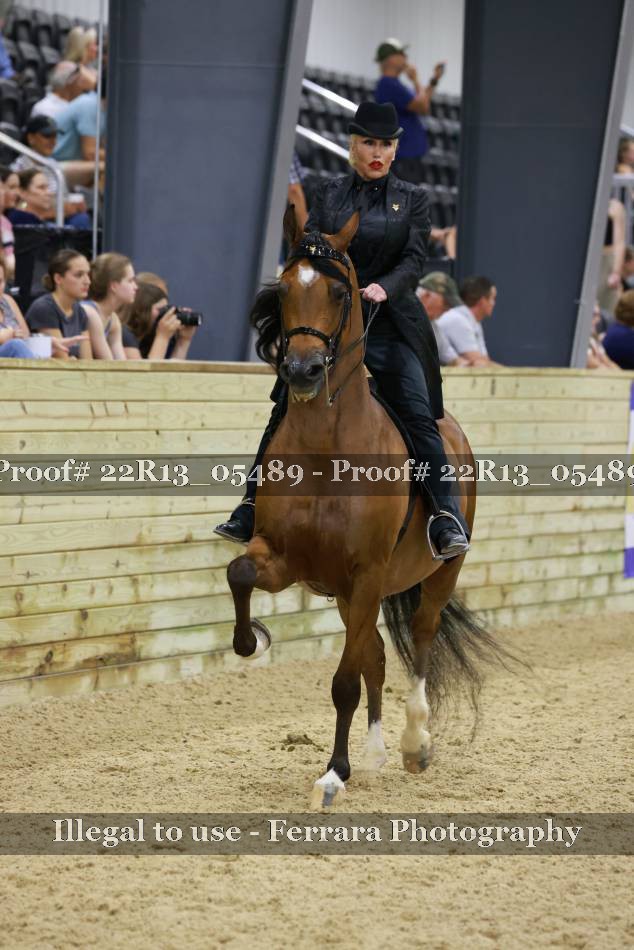 Proof 22R13_05489