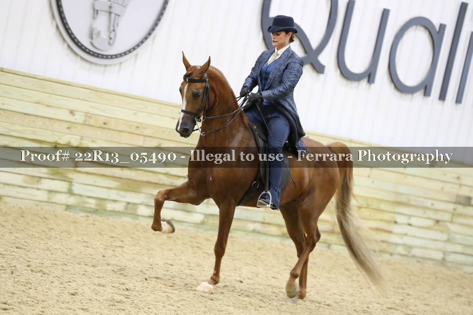 Proof 22R13_05490