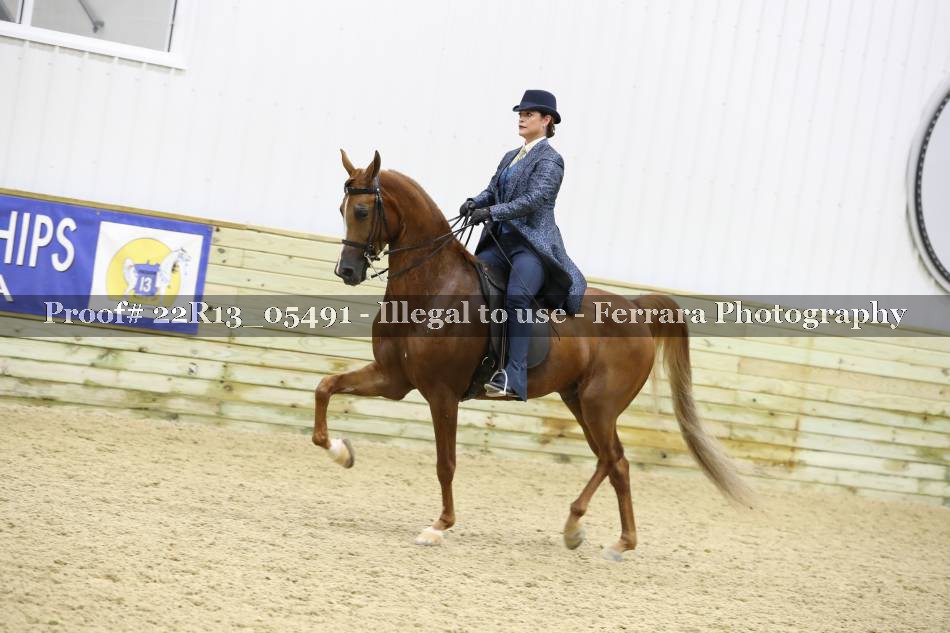 Proof 22R13_05491