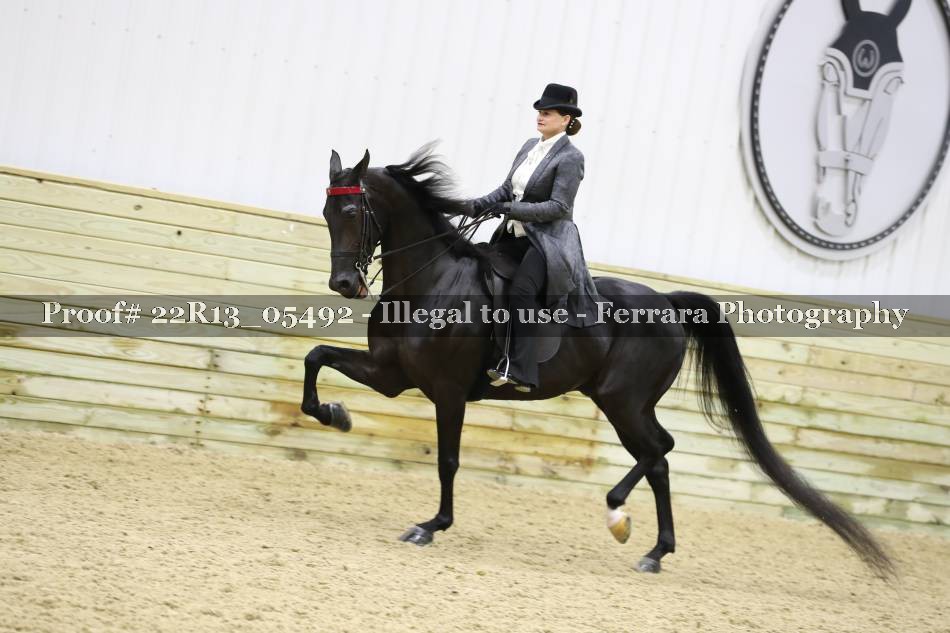 Proof 22R13_05492