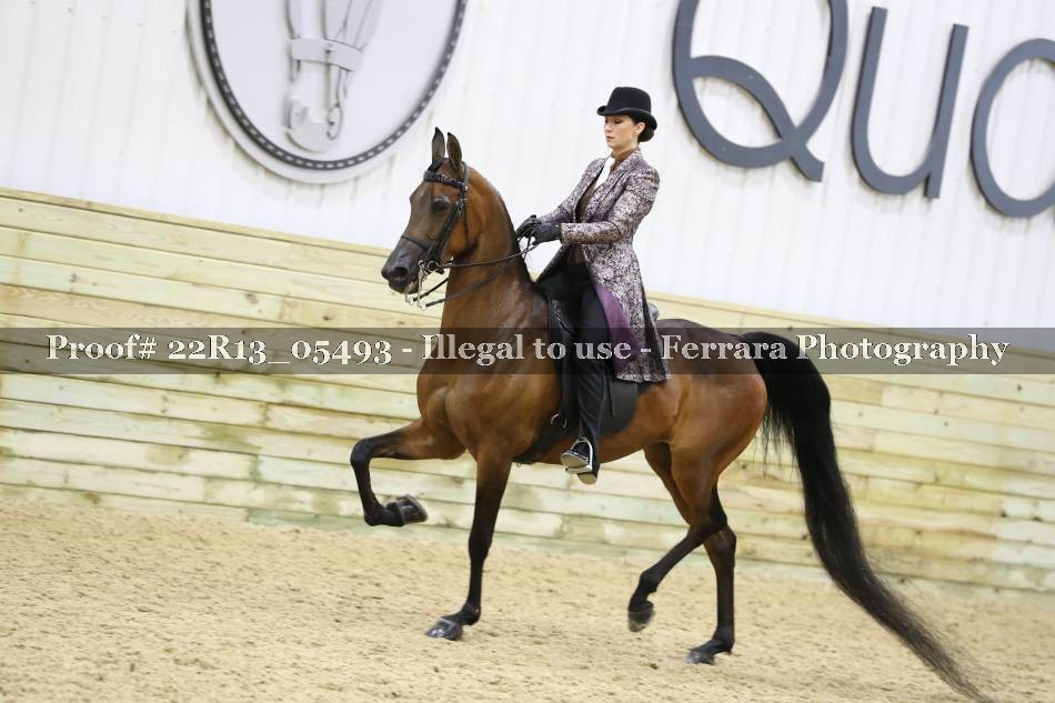 Proof 22R13_05493