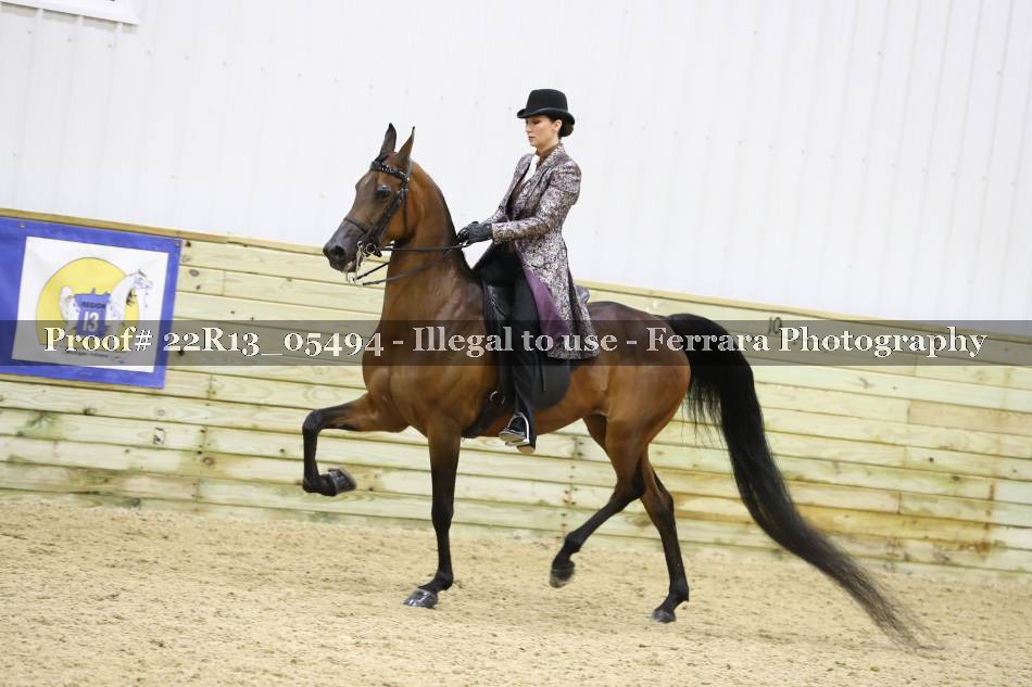 Proof 22R13_05494