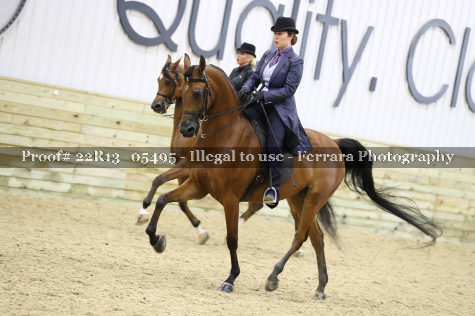 Proof 22R13_05495
