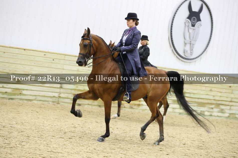 Proof 22R13_05496