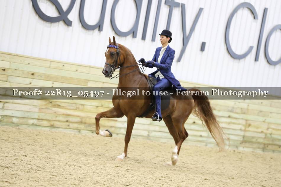 Proof 22R13_05497