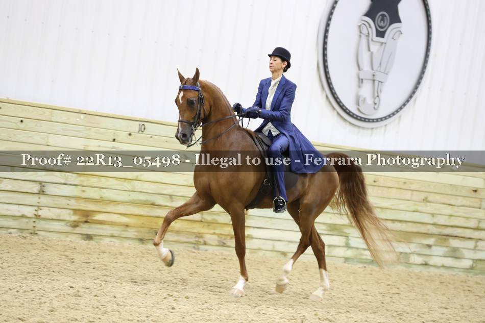 Proof 22R13_05498