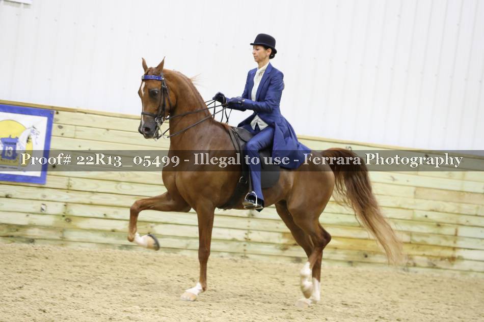 Proof 22R13_05499