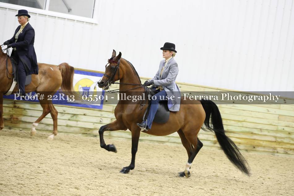 Proof 22R13_05501