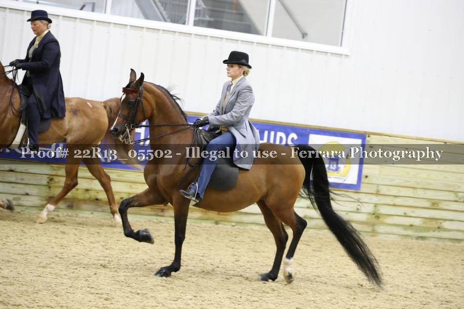 Proof 22R13_05502