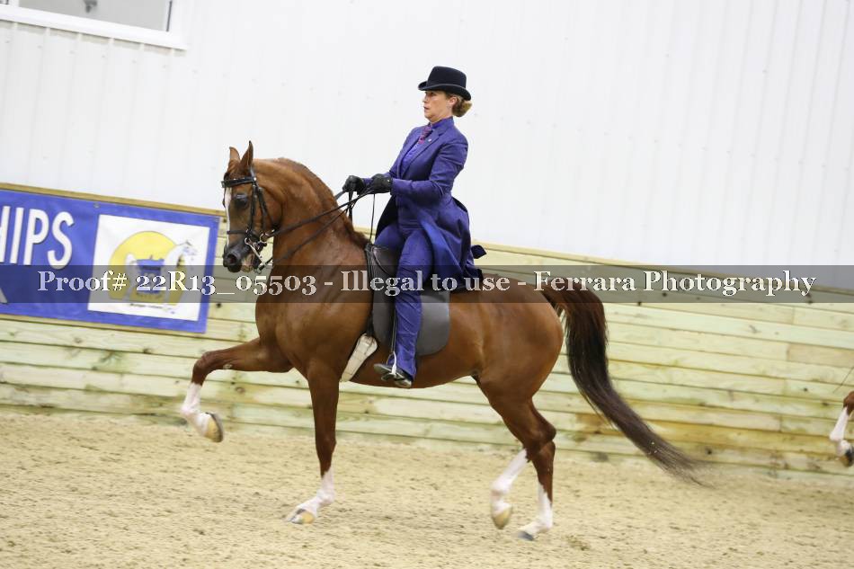 Proof 22R13_05503