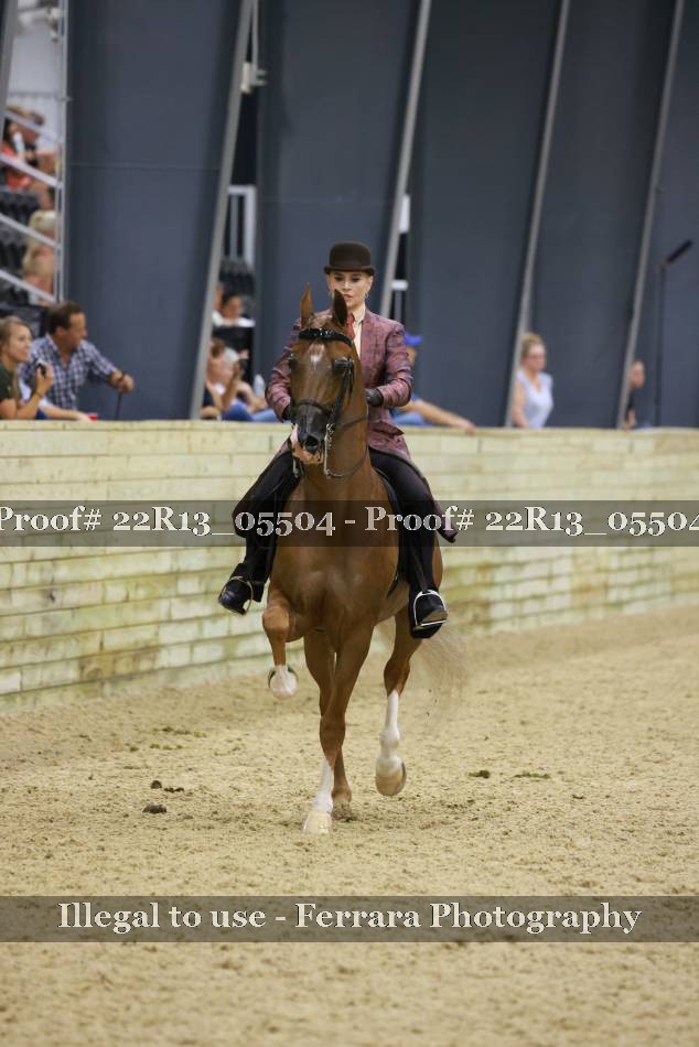 Proof 22R13_05504