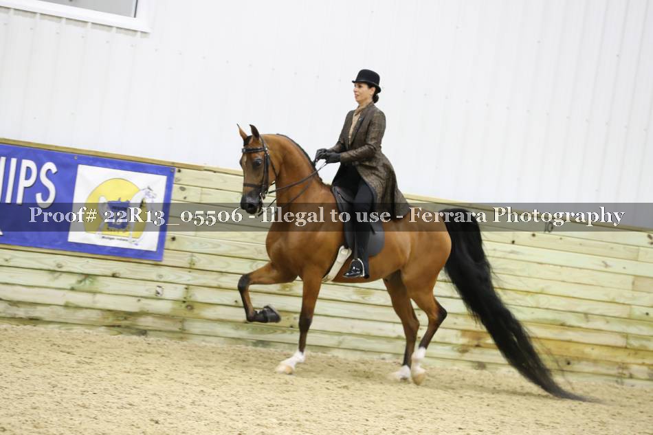 Proof 22R13_05506