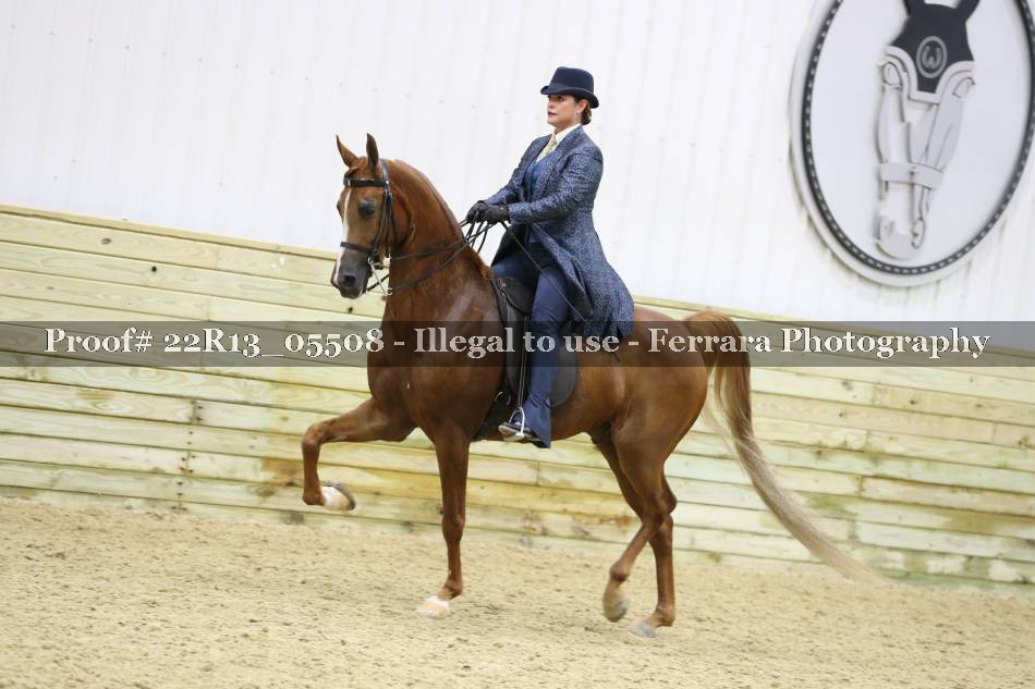 Proof 22R13_05508