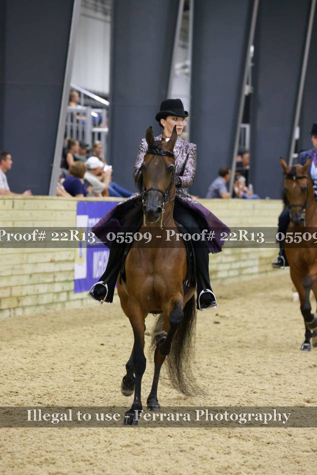 Proof 22R13_05509