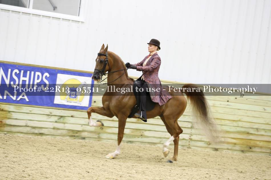 Proof 22R13_05511
