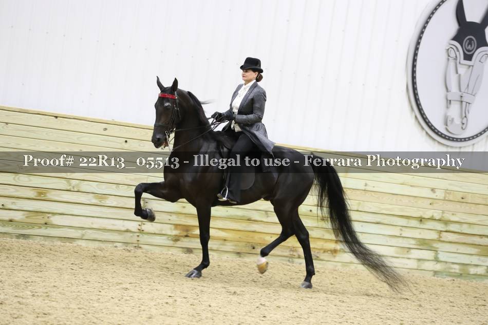 Proof 22R13_05513