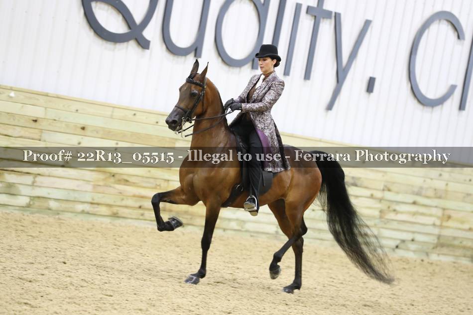 Proof 22R13_05515