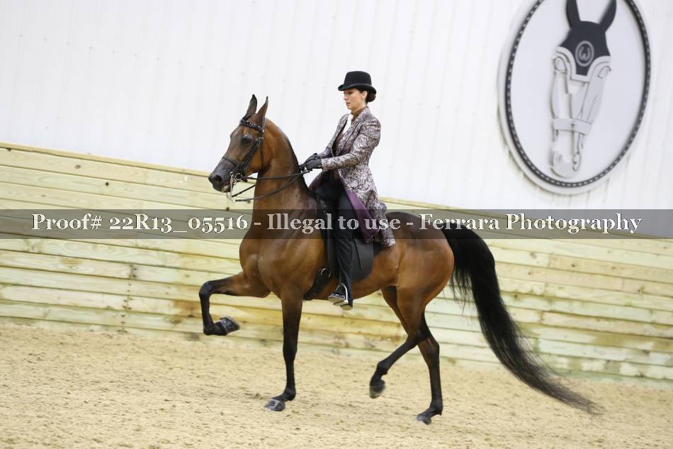 Proof 22R13_05516